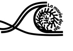 LaMAREEdesILES 12 1